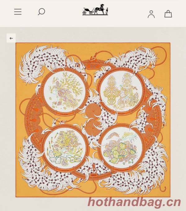 Hermes Scarf HEC00835