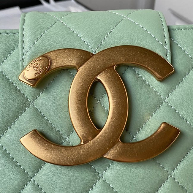 Chanel SMALL MESSENGER BAG AS4596 GREEN