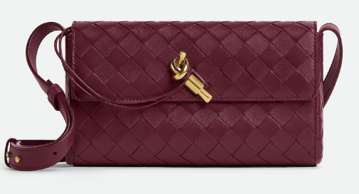 Bottega Veneta Mini Andiamo Cross-Body Bag 755545 Barolo