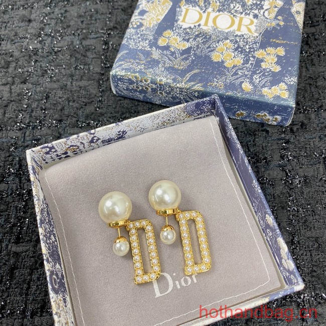 Dior Earrings CE12949