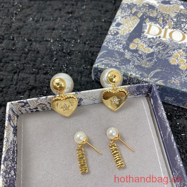 Dior Earrings CE12953