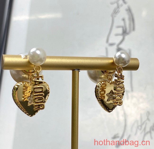 Dior Earrings CE12953