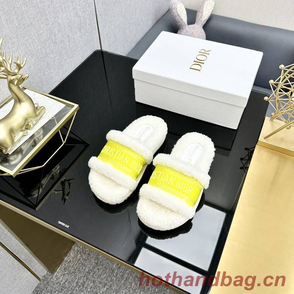 Dior Shoes DIS00322