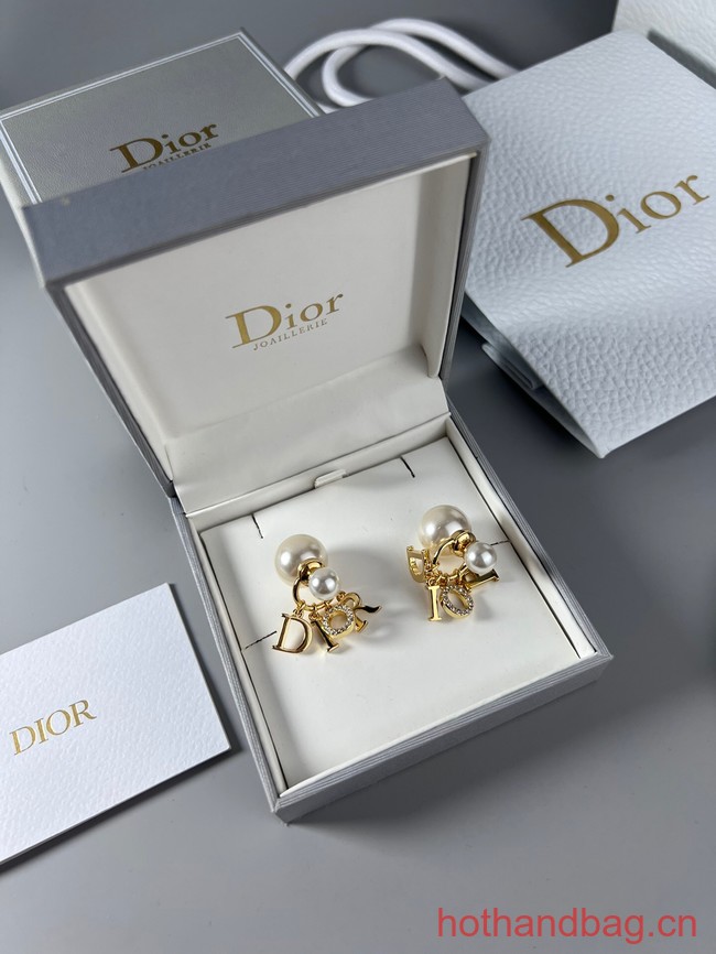 Dior Earrings CE13078