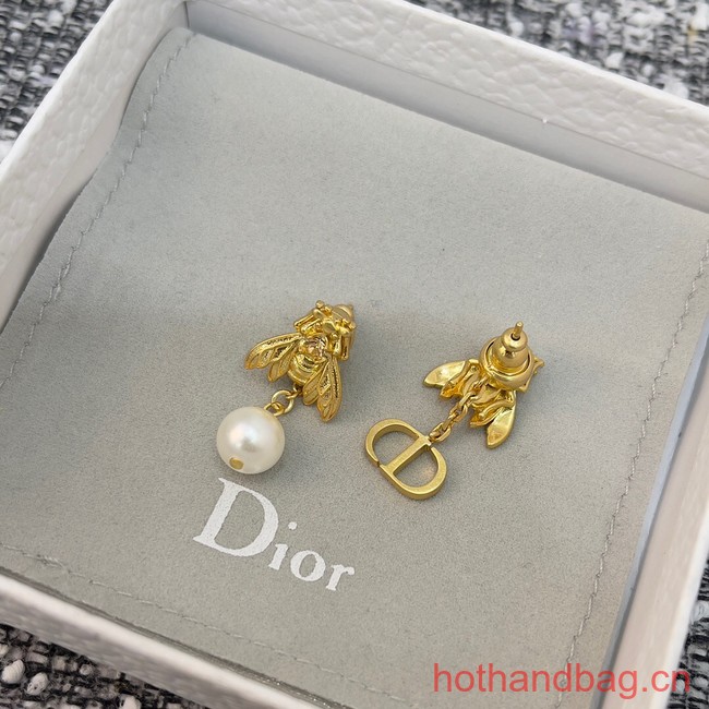 Dior Earrings CE13106