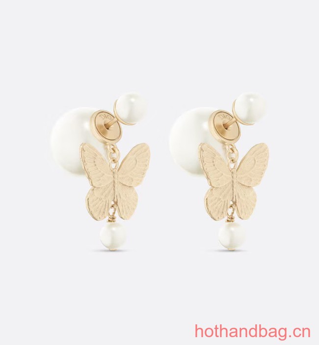 Dior Earrings CE13107