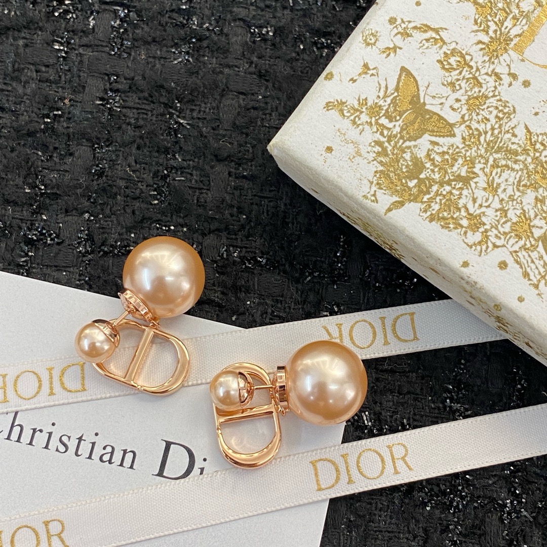 Dior Earrings CE13325