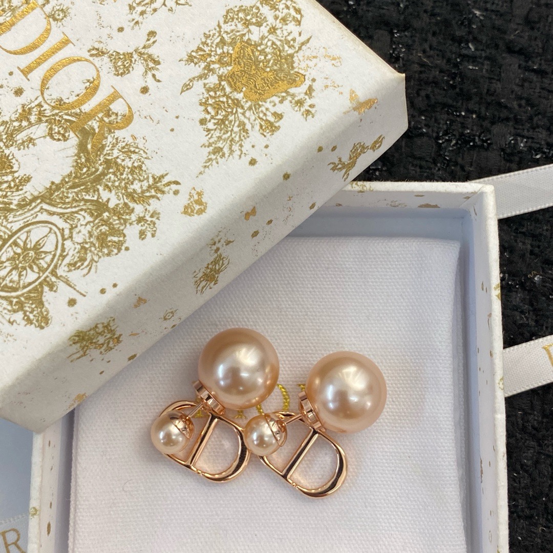 Dior Earrings CE13325