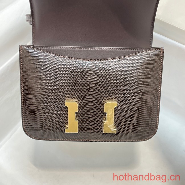 Hermes Original Lizard skin Constance Bag BK7828-3