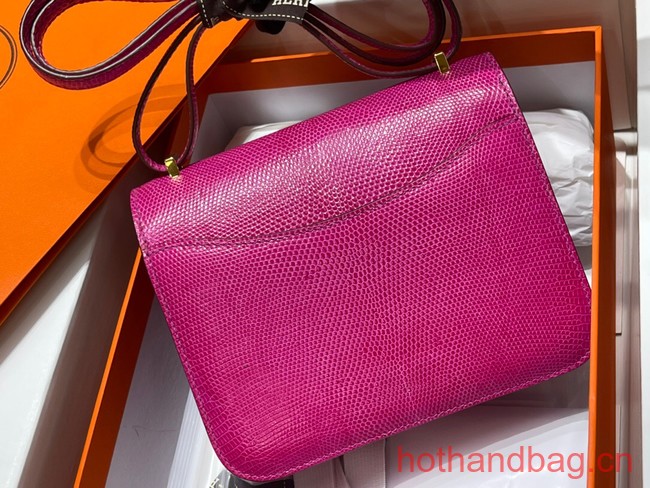 Hermes Original Lizard skin Constance Bag BK7828-5