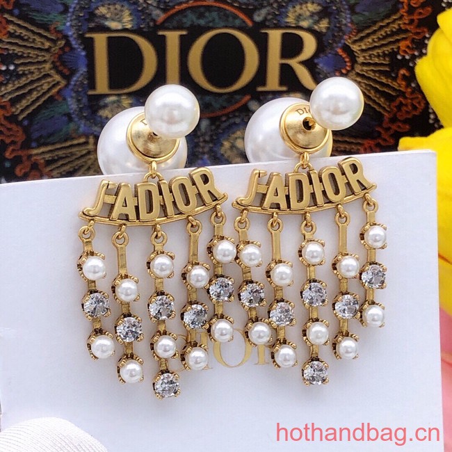 Dior Earrings CE13380