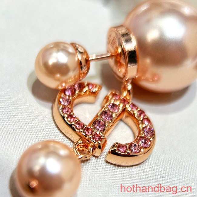 Dior Earrings CE13464