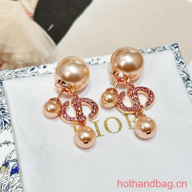 Dior Earrings CE13464