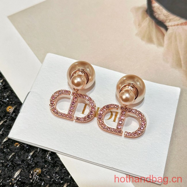 Dior Earrings CE13481