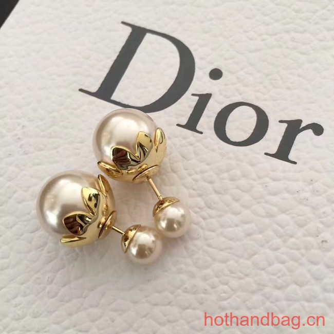 Dior Earrings CE13641