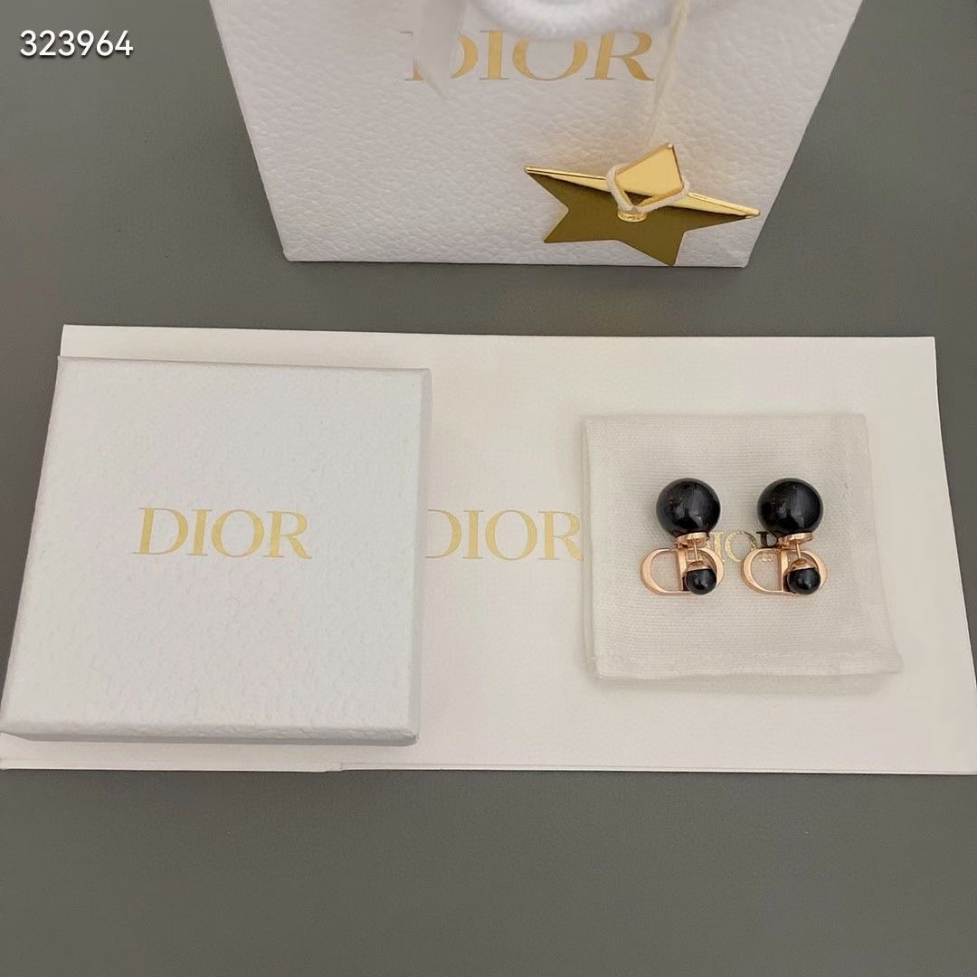 Dior Earrings CE13670