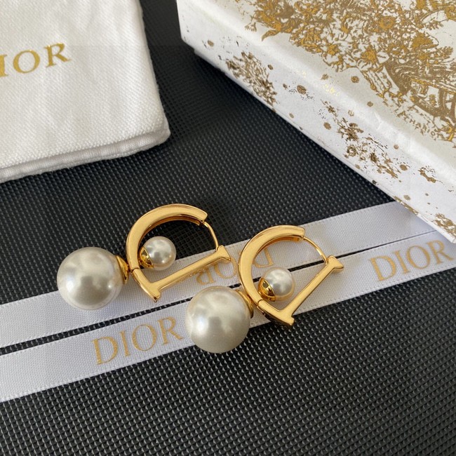 Dior Earrings CE13685