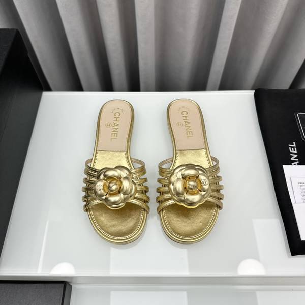 Chanel Shoes CHS02225