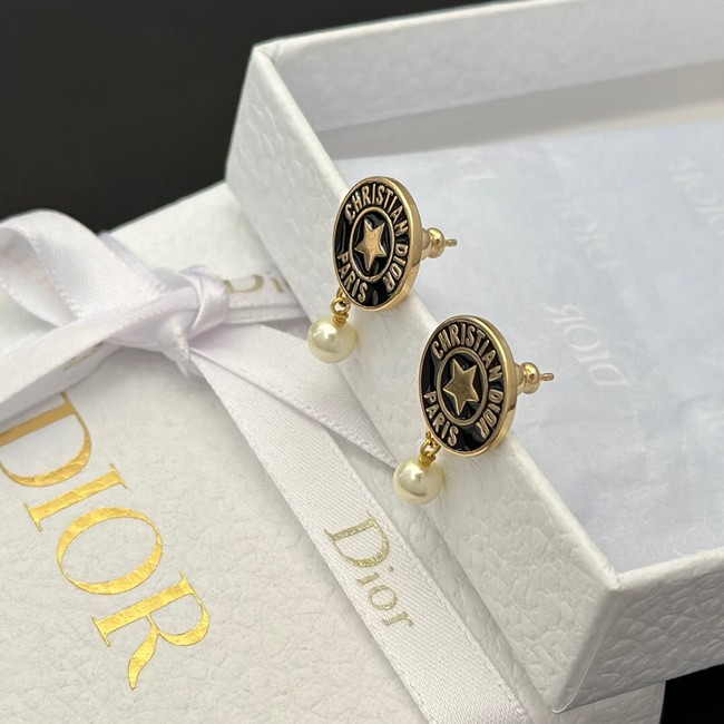 Dior Earrings CE13760