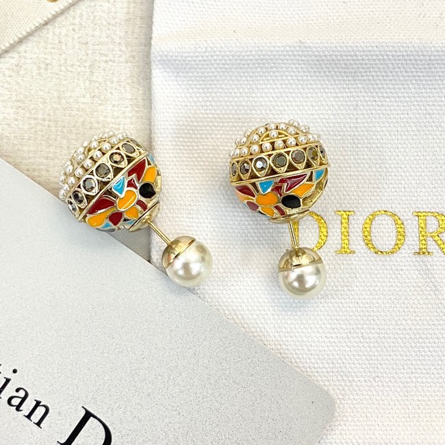 Dior Earrings CE13771