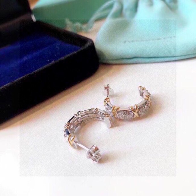 TIFFANY Earrings CE13784