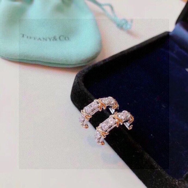 TIFFANY Earrings CE13784