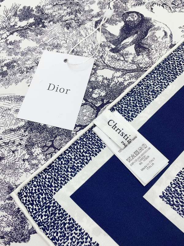 Dior Scarf DIC00350