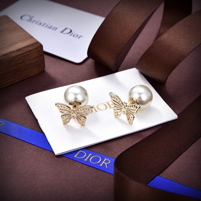 Dior Earrings CE13869