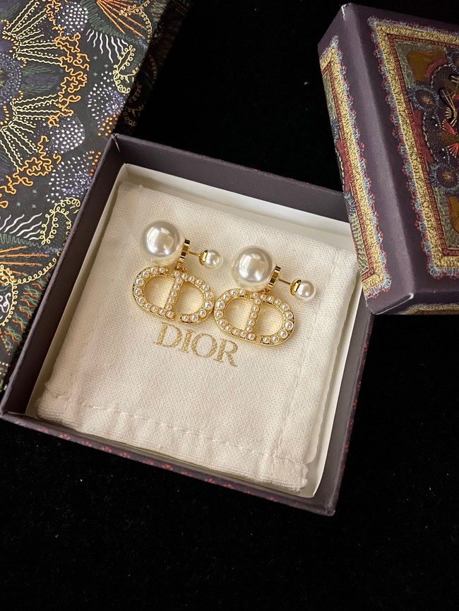 Dior Earrings CE13885