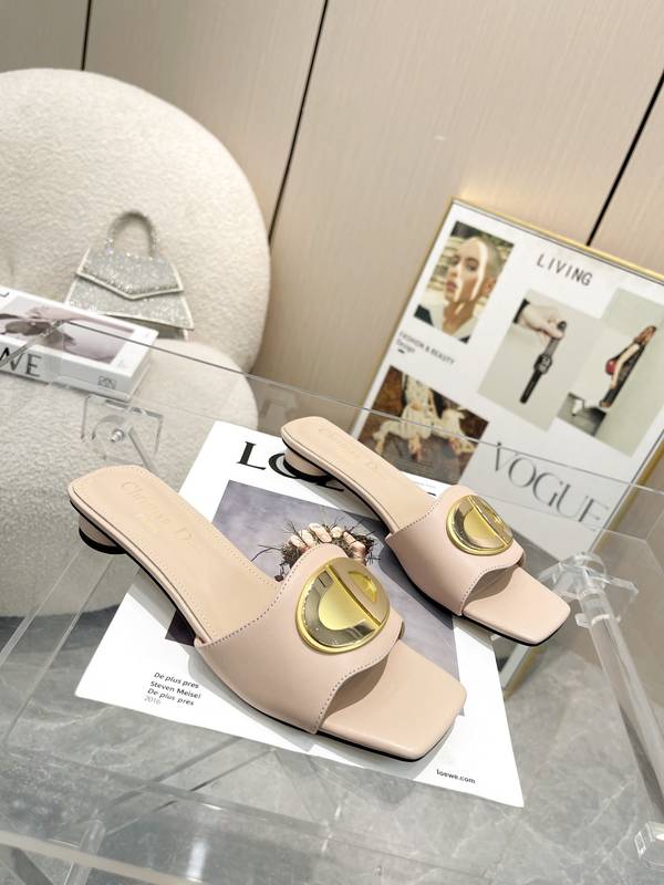 Dior Shoes DIS00492