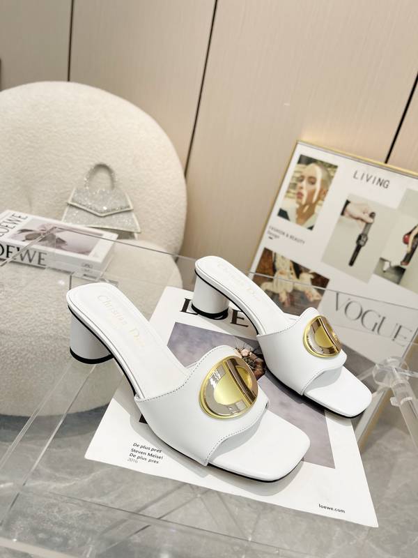 Dior Shoes DIS00497