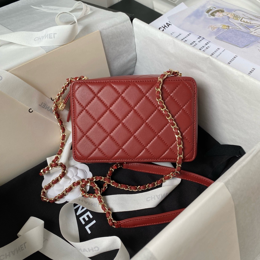 Chanel CAMERA BAG AS4817 Burgundy