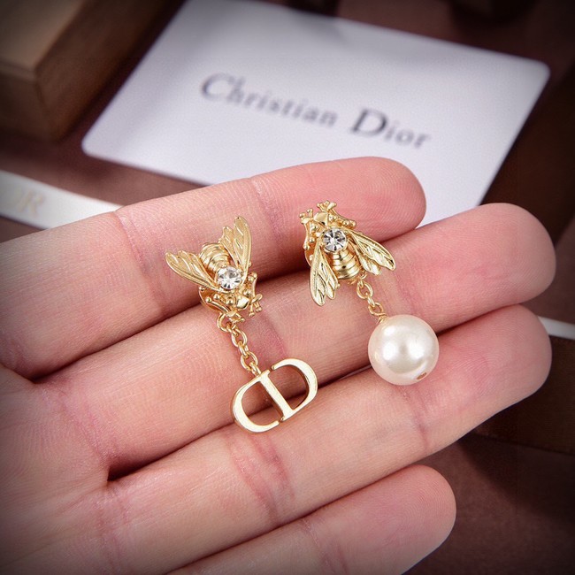Dior Earrings CE13937