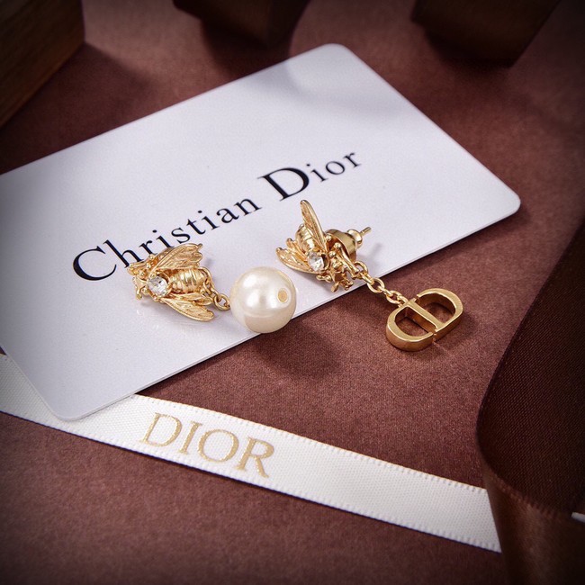 Dior Earrings CE13937