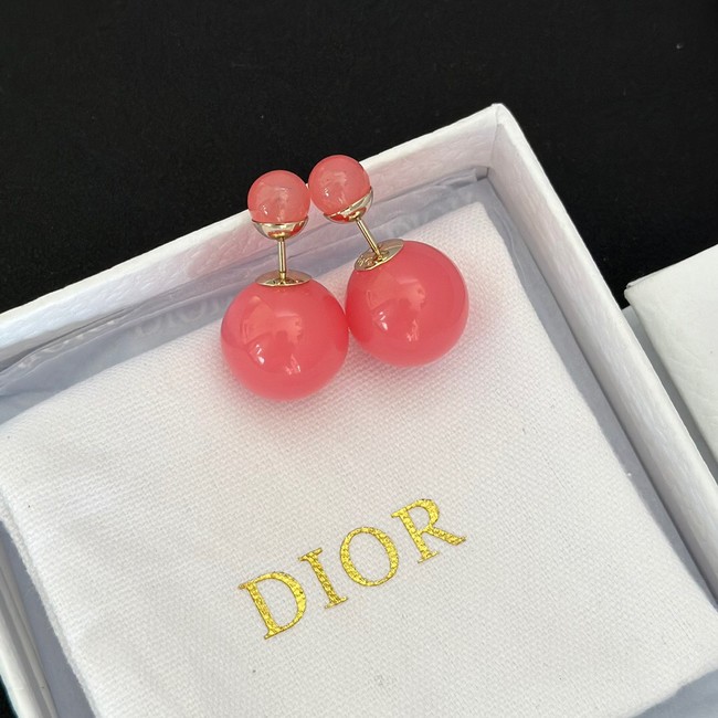 Dior Earrings CE13969