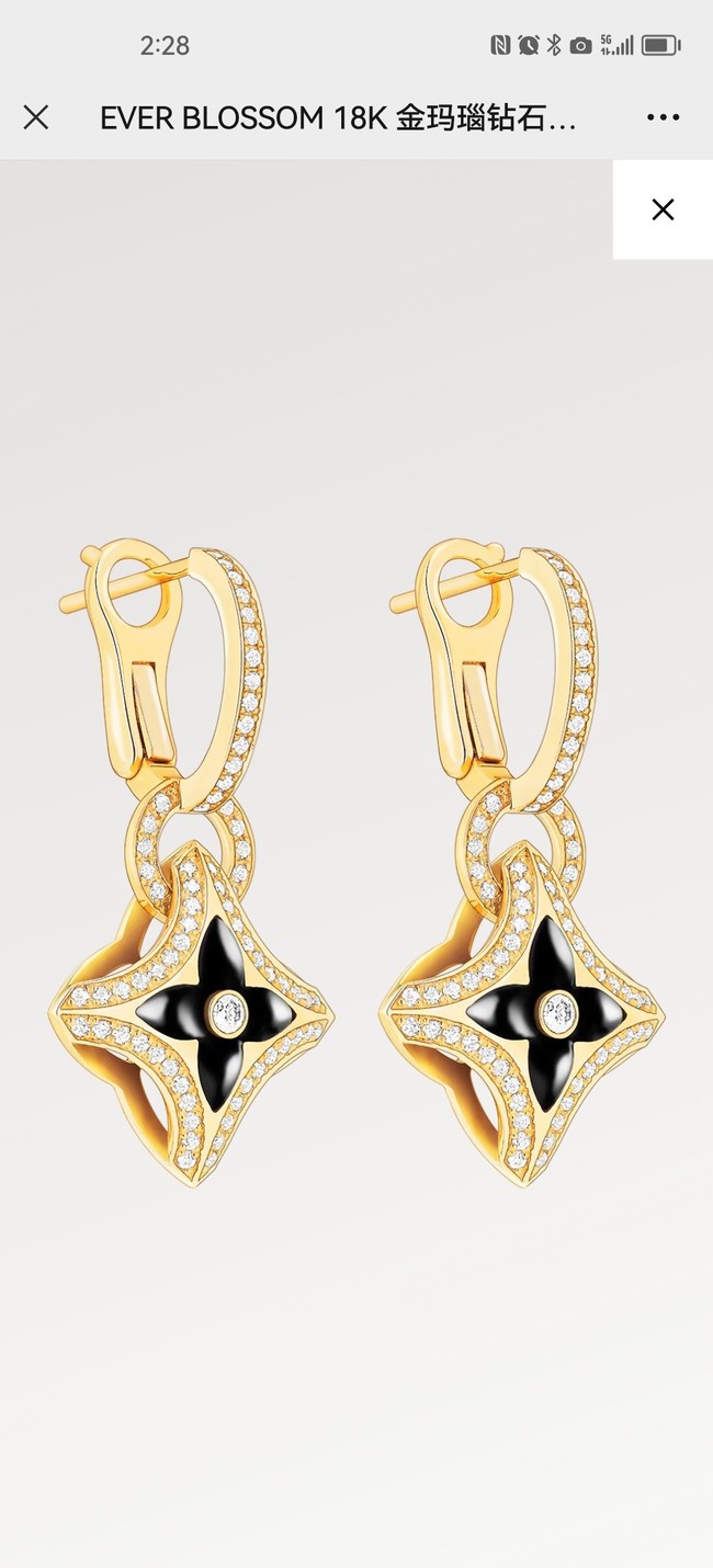 Louis Vuitton NECKLACE&Earrings&Bracelet&ring CE14033