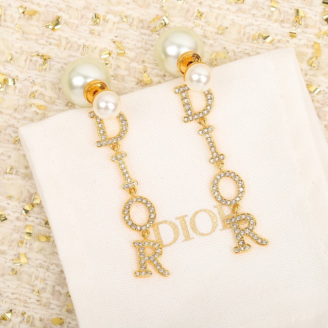 Dior Earrings CE14036