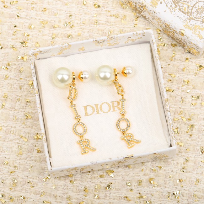 Dior Earrings CE14036