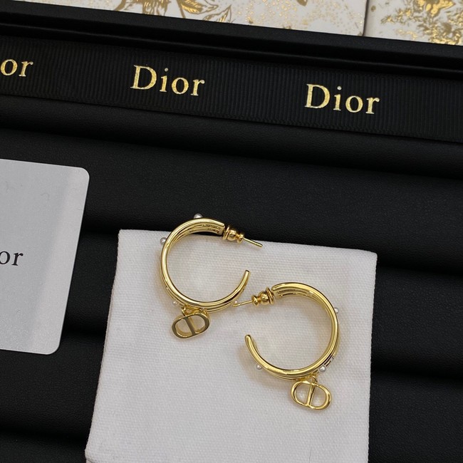 Dior Earrings CE14063