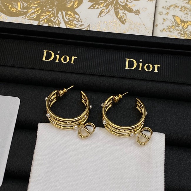 Dior Earrings CE14063