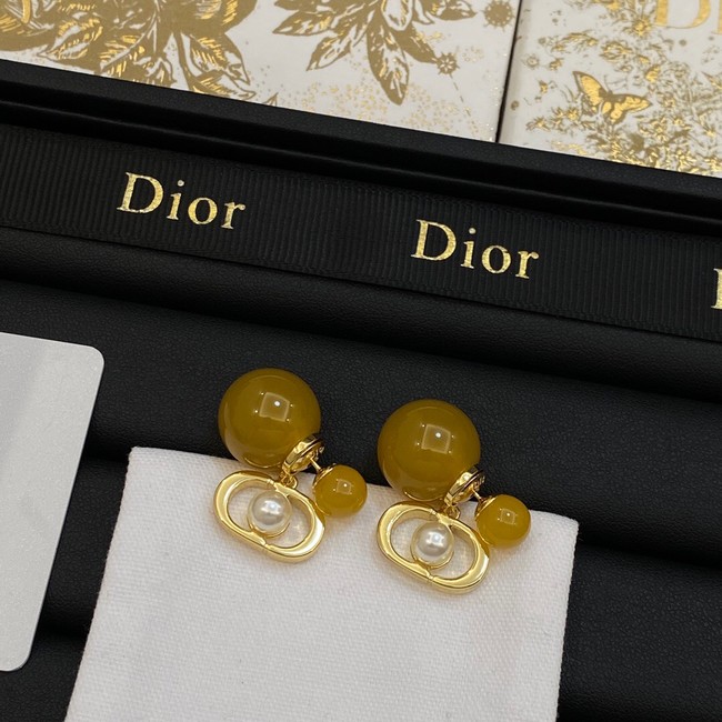 Dior Earrings CE14069