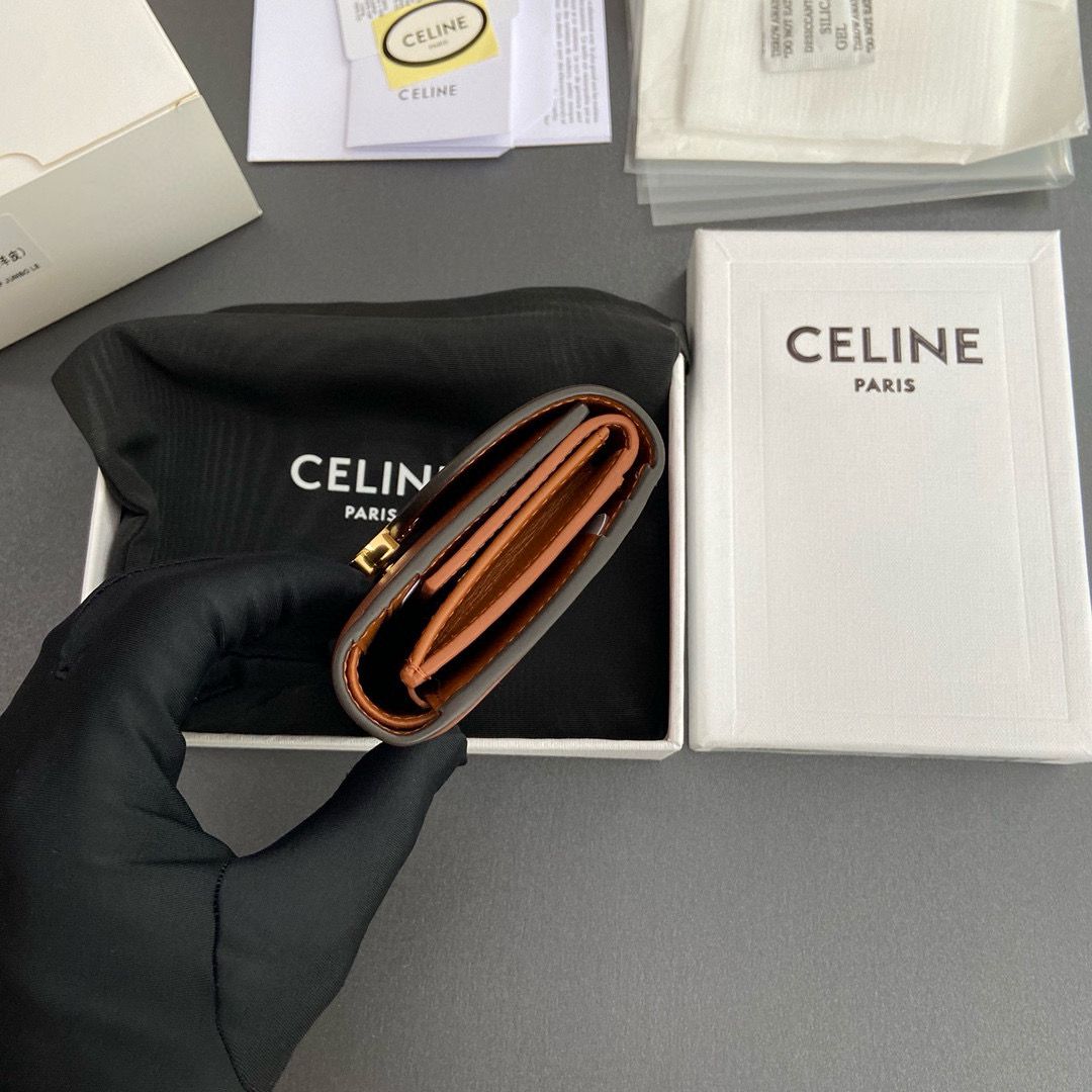 Celine SMALL WALLET TRIOMPHE IN SHINY CALFSKIN 10D783 BROWN