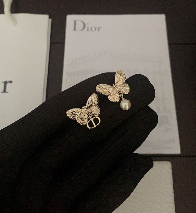 Dior Earrings CE14088