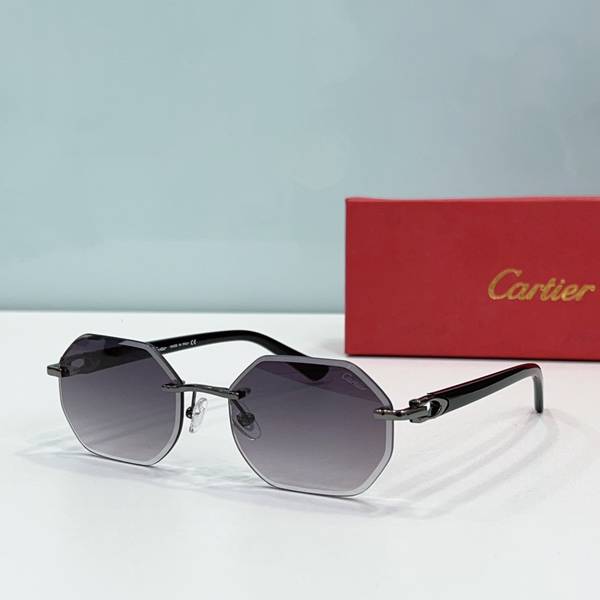 Cartier Sunglasses Top Quality CAS01815