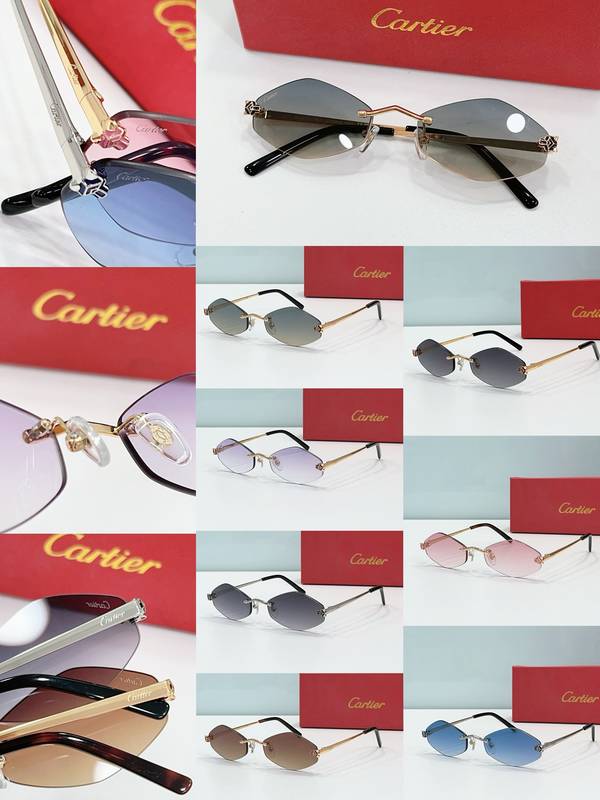 Cartier Sunglasses Top Quality CAS01817