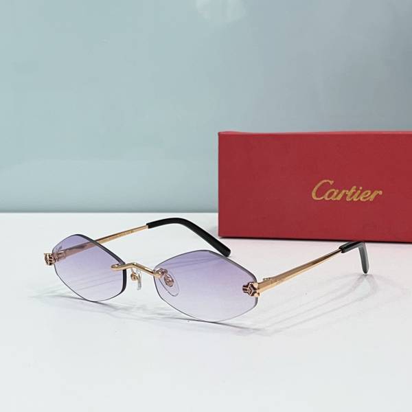 Cartier Sunglasses Top Quality CAS01822