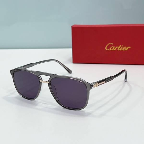 Cartier Sunglasses Top Quality CAS01828