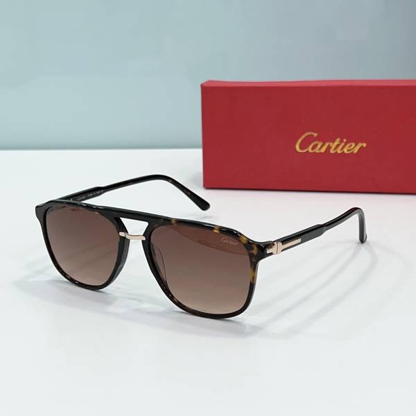 Cartier Sunglasses Top Quality CAS01829