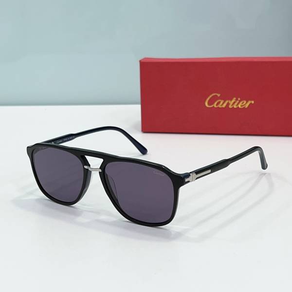 Cartier Sunglasses Top Quality CAS01833