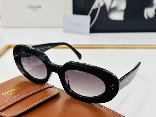 Celine Sunglasses Top Quality CES01113